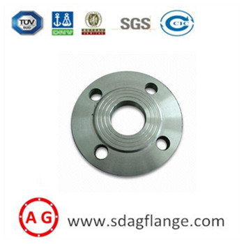 Flange de chapa de aço forjado DIN2576 PN10 S235JR